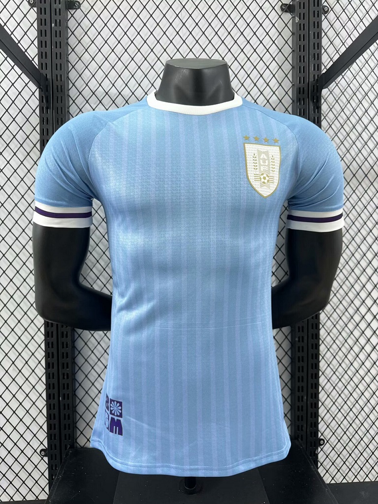 AAA Quality Uruguay 2024 Home Soccer Jersey(Player)
